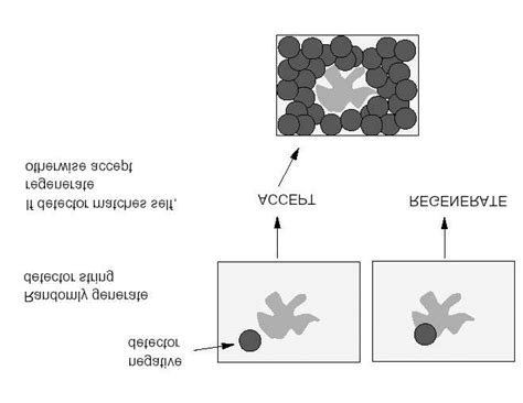 Image result for Negative Selection