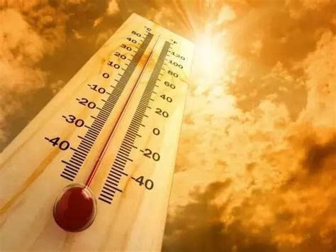 Heat Exhaustion Alert: Know the Warning Signs to Stay Safe This Summer