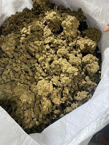 Press Release:Press Information Bureau