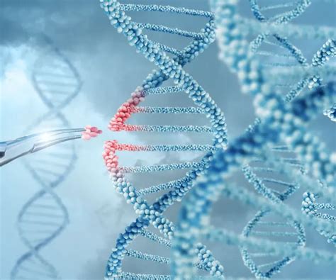 How Induction Loop System Work 的图像结果