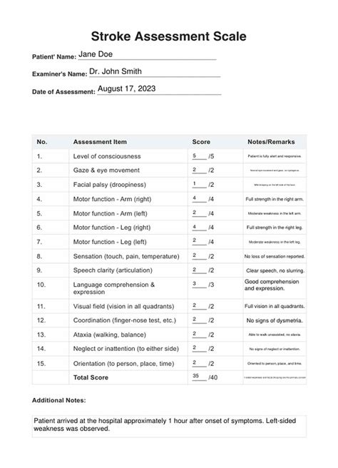 Stroke Assessment Scale Template & Example | Free PDF Download