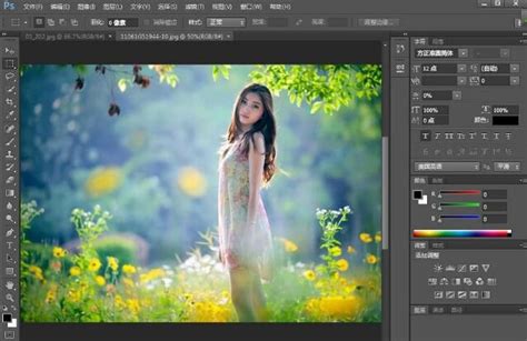 Adobe Photoshop Elements 2021 for Mac 破解版下载 | 玩转苹果