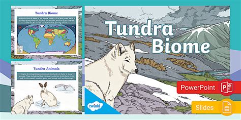 Tundra Biome PowerPoint & Google Slides for 3rd-5th Grade