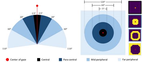Image result for Peripheral Vision