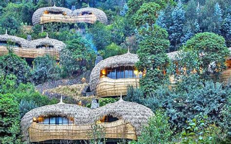 bisate lodge