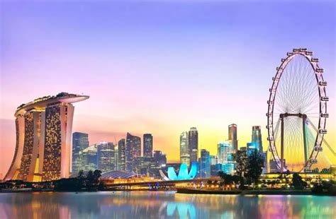 新加坡公司注册证书与注册纸BIZFILE