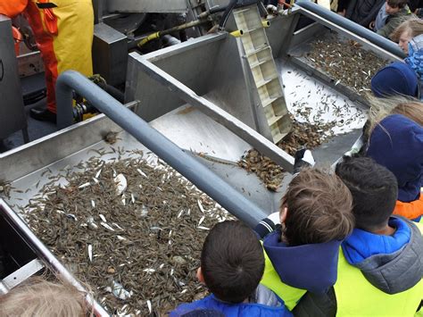 HET WAD OP -TX10 & TX20 (2026) All You Need to Know BEFORE You Go (with ...