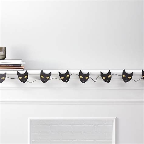 Kuvatulokset haulle cat string shell