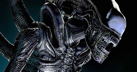 Alien Covenant Xenomorph 的图像结果