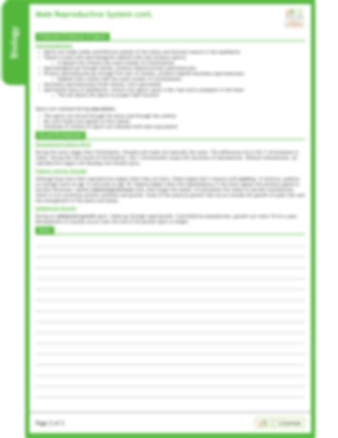 Image result for Male Reproduction System Textbook