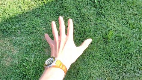 Touching Grass Tutorial 的图像结果