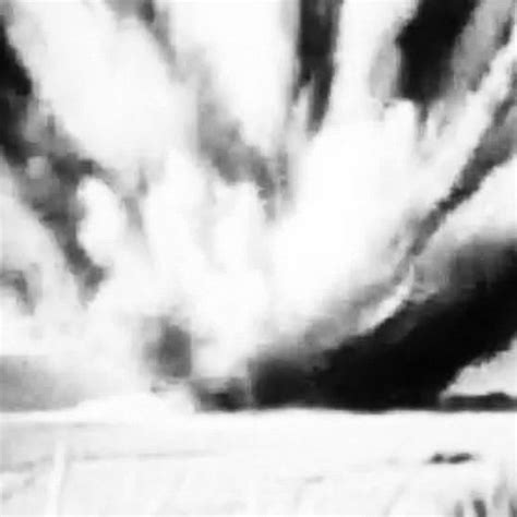 Image result for Exploding Whale Compilation