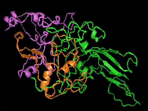 Image result for Haemoglobin PyMOL