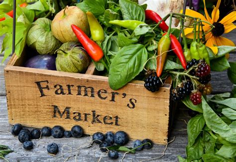 5 Farmers Markets to Visit Near Gilbert, Arizona - Crème de la Crème