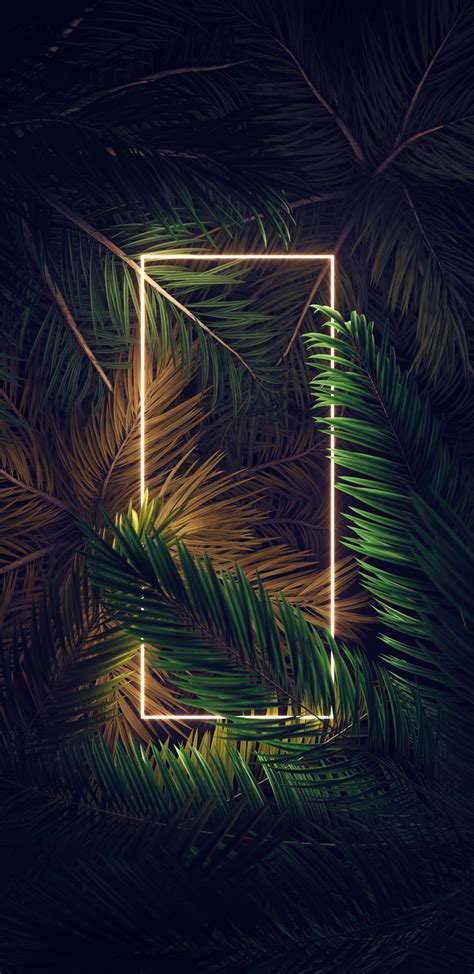 Tree Wallpaper Android 的图像结果