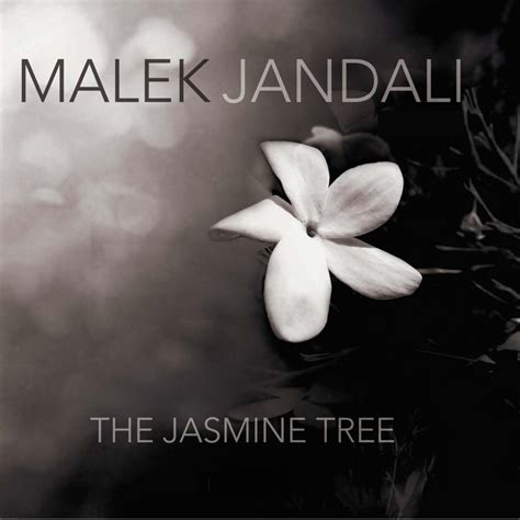 The Jasmine Tree: Malek Jandali: Amazon.in: Music}