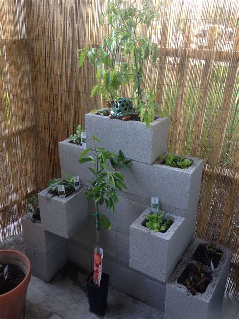 Urban garden, cinder block garden, small space gardening ideas. Under ...
