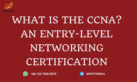 Computer Networking Certificates 的图像结果