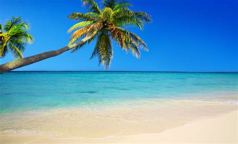 Image result for Beach Python Code