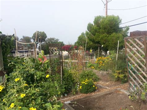 Laguna Beach Library Master Gardners Workshop Saturday August 19 2023 ...