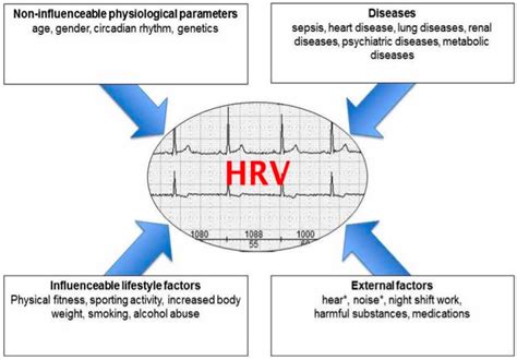 Image result for Heart Rate Variability Testing