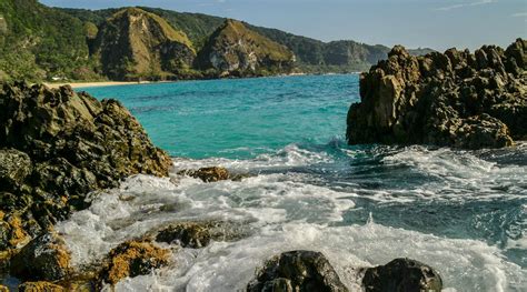 Image result for Bing Search Engine Box Your Web HTML Code