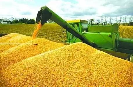2016年的玉米收购价格详解_农机通讯社