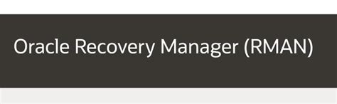 Oracle RMAN Tutorial 的图像结果
