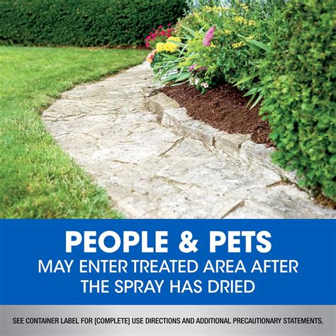 Buy Roundup Dual Action Weed & Grass Killer Plus 4 Month Preventer with ...