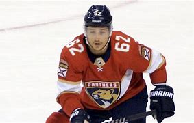 Image result for Montour Florida Panthers