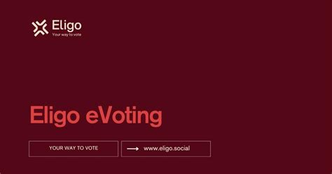 Proxy Voting Process 的图像结果