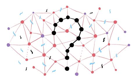 Linear Search Computer Science 的图像结果