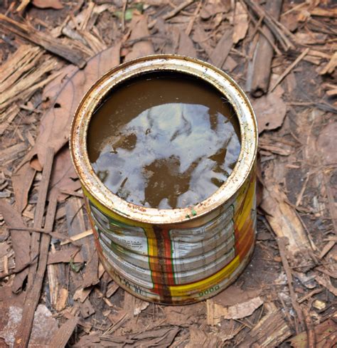 Worm Farming Business 的图像结果