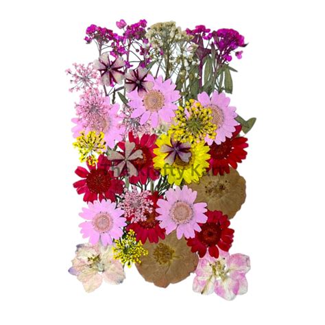 Pressed Flower (M) | The Krafty Kart Resin Store