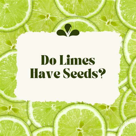 Do Limes Have Seeds? – The Natural Spot