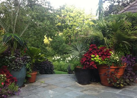 Discovering the Enchanting World of the Trillium Flower - The Little Garden