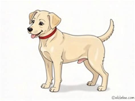 Image result for Tutorial Draw Dog
