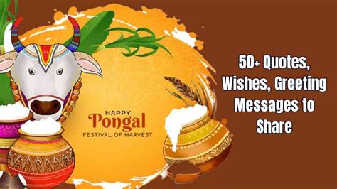 Happy Pongal 2025 - 50+ Quotes, Wishes, Greeting Messages to Share on ...