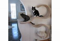 Cat Bookshelves by Wall Mounted Cat Shelf The Wave Cat Bookshelves