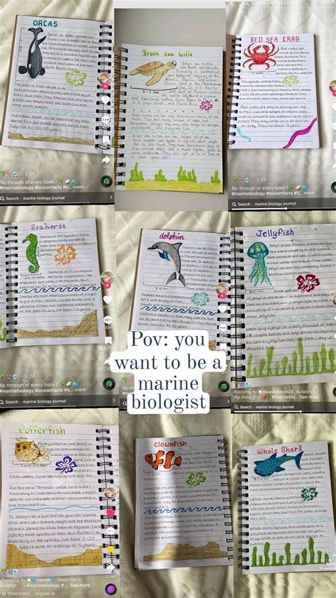 Pin by kelsey wolfe on marine biology | Marine biology schools ...