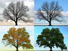 Season Picture by Four Seasons Longbridge Road This Tells The Story Of Season Picture