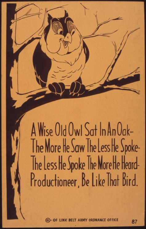 A Wise (?) Old Owl – Orange Marmalade Press