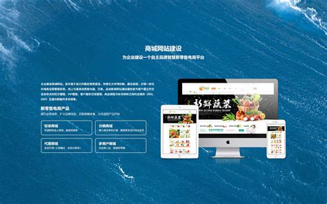 渭南seo优化_渭南网站推广_渭南小程序开发