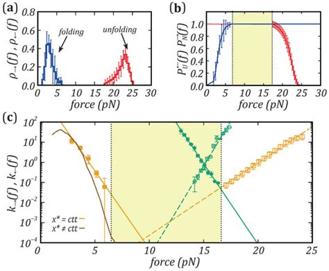 Force Dependence of Proteins’ Transition State Position and the Bell ...