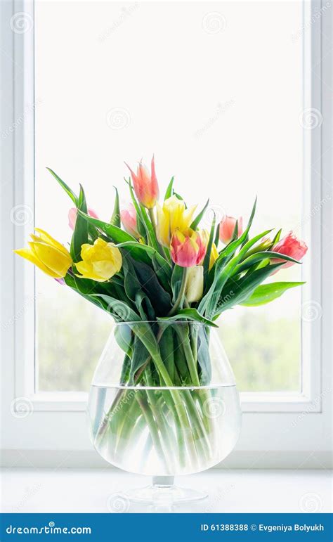 Tulips in glass vase stock photo. Image of beautiful - 61388388