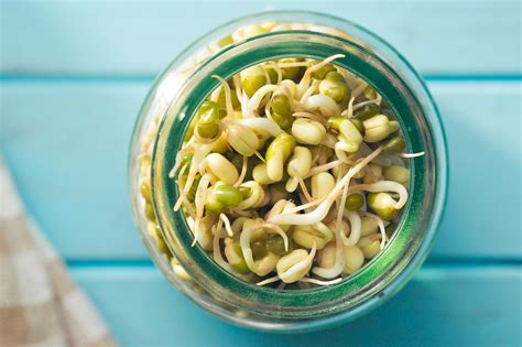 How to Grow and Use Bean Sprouts at Home | Knorr