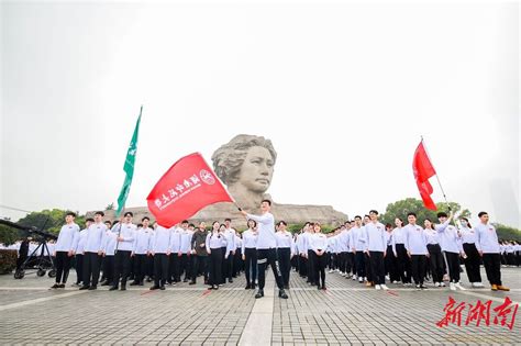 浙江在线：杭州：考研倒计时 学生图书馆复习神情专注-浙江农林大学