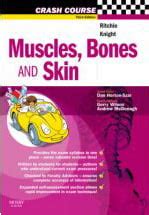 Crash Course Muscles 的图像结果