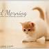Image result for Cute Good Morning Funny Animals