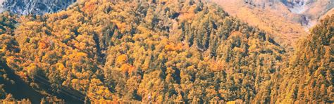 2D1N Autumn Tateyama Kurobe Alpine Route & Kamikochi Tour from Nagoya ...